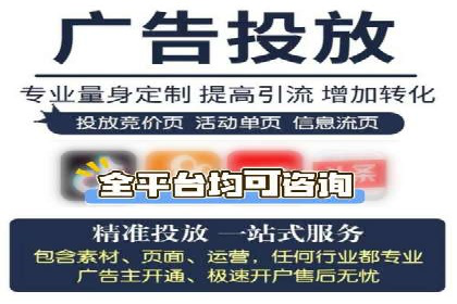 百度竞价SEM深度解析：某行业成功推广经验